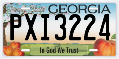GA license plate PXI3224