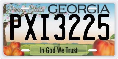 GA license plate PXI3225
