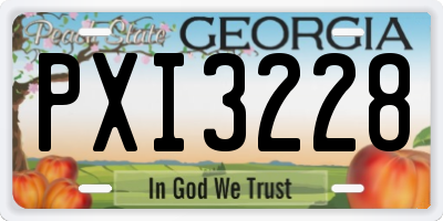 GA license plate PXI3228