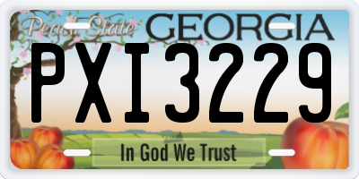 GA license plate PXI3229