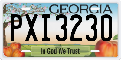 GA license plate PXI3230
