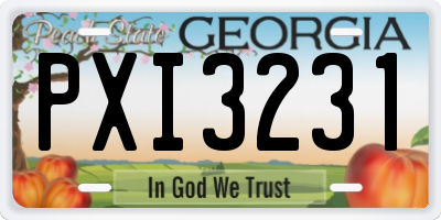 GA license plate PXI3231