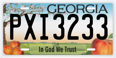 GA license plate PXI3233
