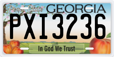 GA license plate PXI3236