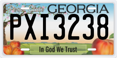 GA license plate PXI3238