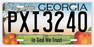 GA license plate PXI3240