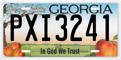 GA license plate PXI3241