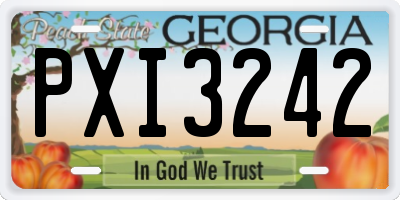 GA license plate PXI3242