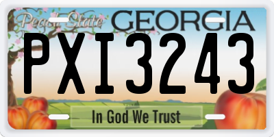 GA license plate PXI3243