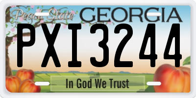GA license plate PXI3244