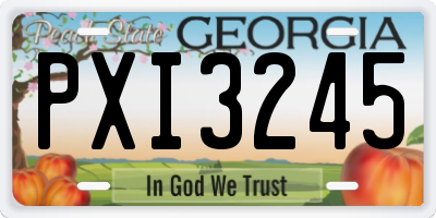 GA license plate PXI3245