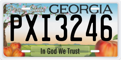 GA license plate PXI3246