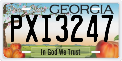 GA license plate PXI3247
