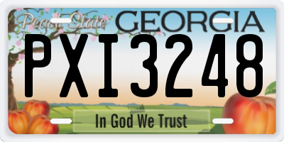 GA license plate PXI3248