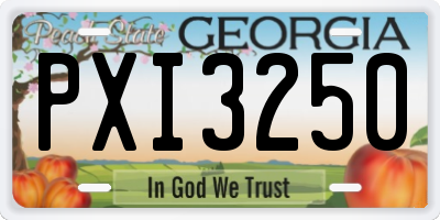 GA license plate PXI3250
