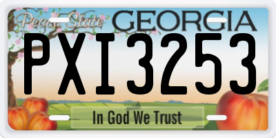 GA license plate PXI3253