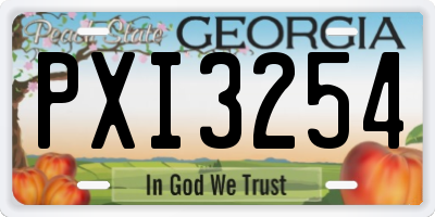 GA license plate PXI3254