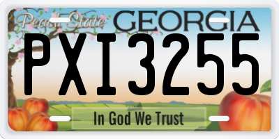 GA license plate PXI3255