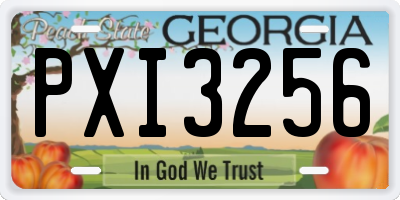 GA license plate PXI3256
