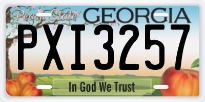 GA license plate PXI3257