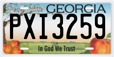 GA license plate PXI3259