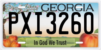 GA license plate PXI3260