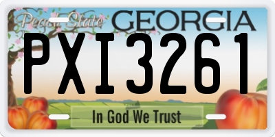 GA license plate PXI3261