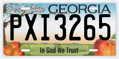 GA license plate PXI3265