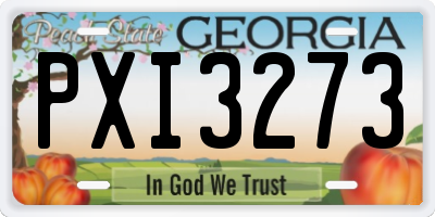 GA license plate PXI3273