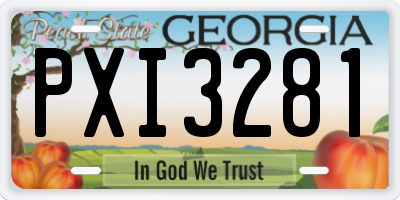 GA license plate PXI3281
