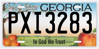 GA license plate PXI3283