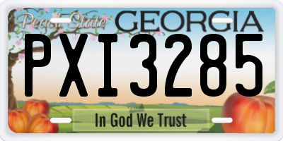 GA license plate PXI3285