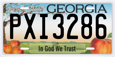 GA license plate PXI3286