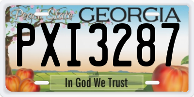 GA license plate PXI3287