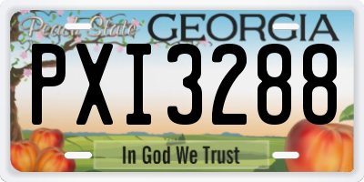 GA license plate PXI3288