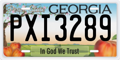GA license plate PXI3289