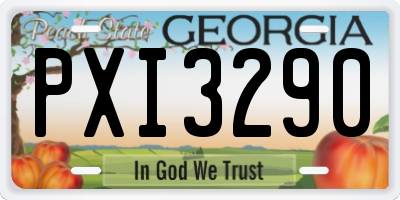 GA license plate PXI3290