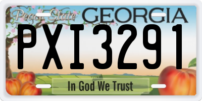 GA license plate PXI3291