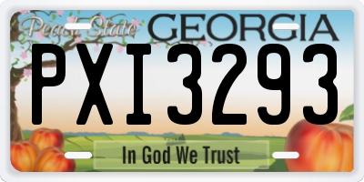 GA license plate PXI3293