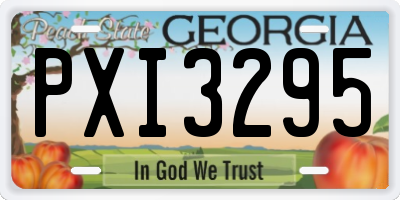 GA license plate PXI3295