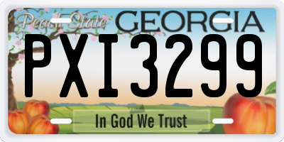 GA license plate PXI3299