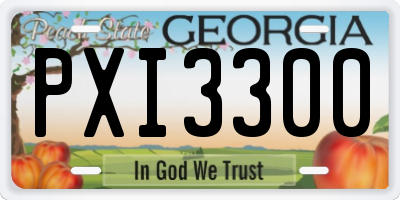 GA license plate PXI3300