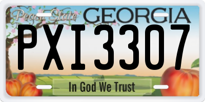 GA license plate PXI3307