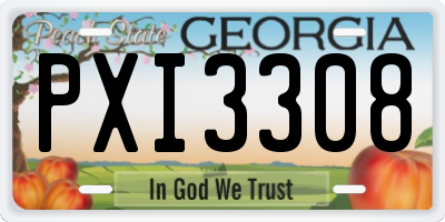 GA license plate PXI3308