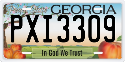 GA license plate PXI3309