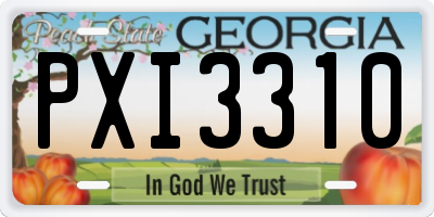 GA license plate PXI3310
