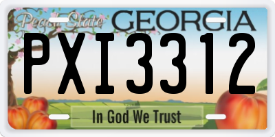 GA license plate PXI3312