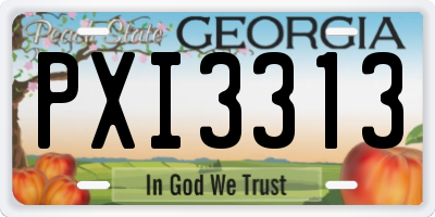 GA license plate PXI3313