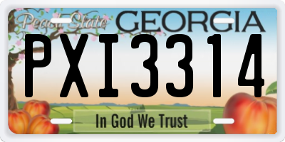 GA license plate PXI3314