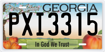 GA license plate PXI3315